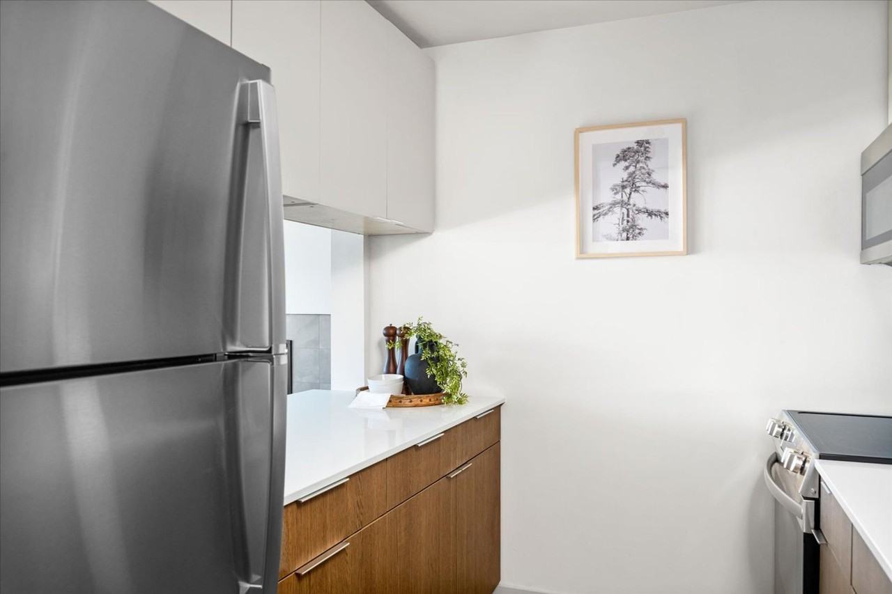 Enzo - Photo 6 of 50