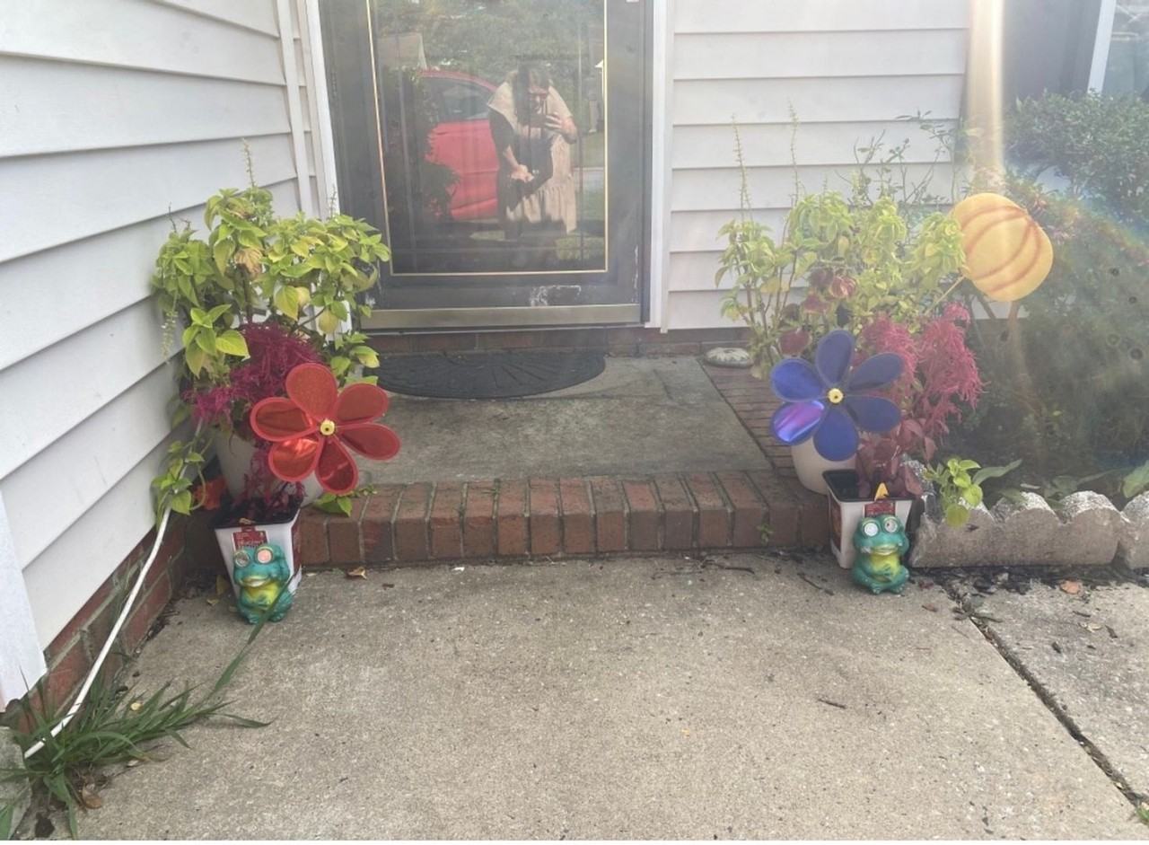 2459 Shadow Valley Rd - Photo 2 of 23