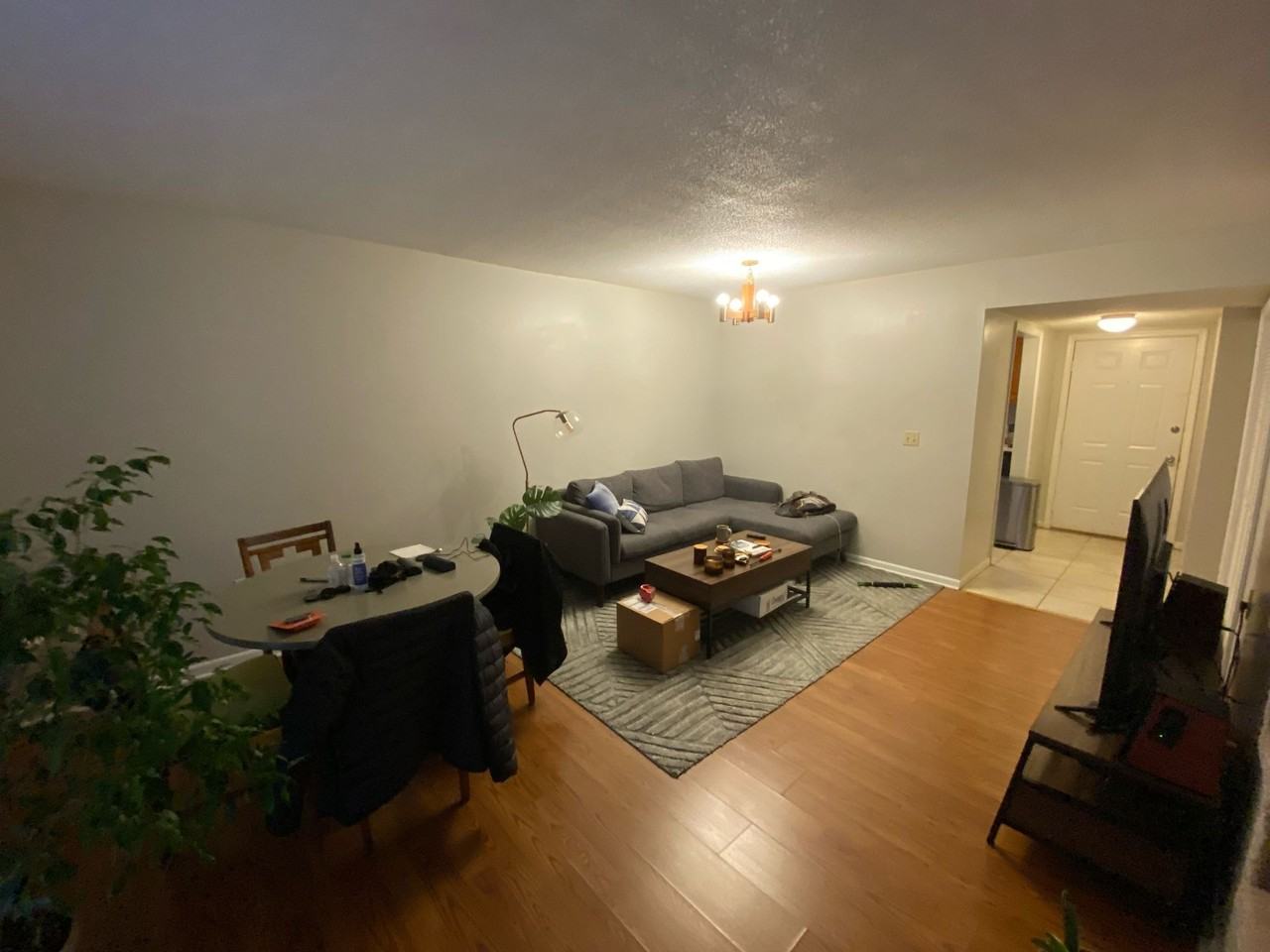 1108 Tiger Blvd #141 - Photo 4 of 9