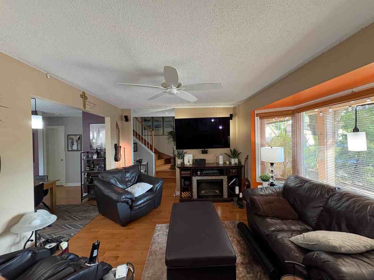 Rue de Cannes & Rue de Canadel - Photo 6 of 12