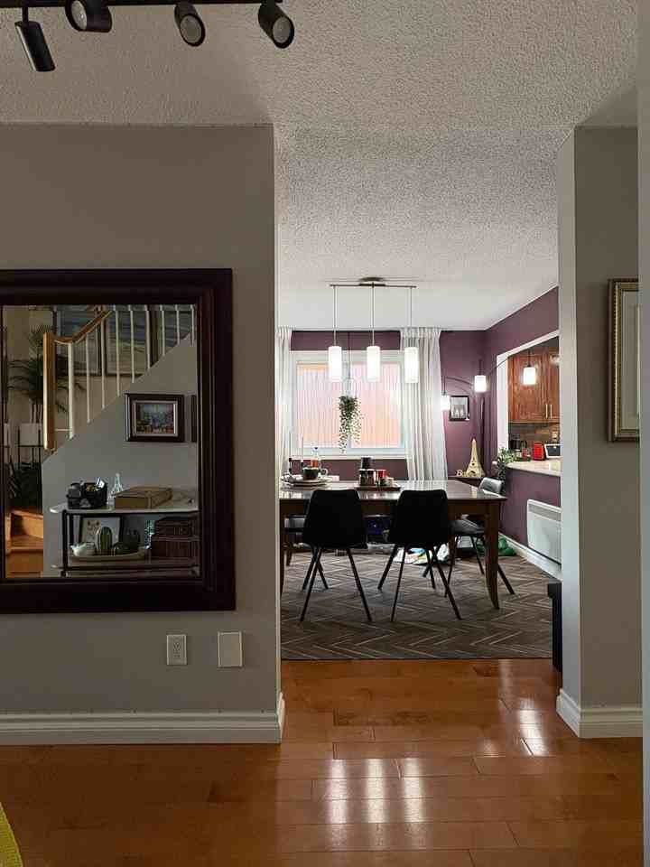 Rue de Cannes & Rue de Canadel - Photo 7 of 12