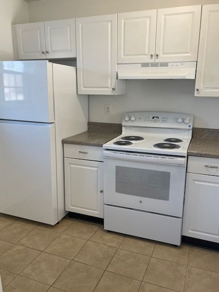 418 Big Leaf Ct - Photo 2 of 17