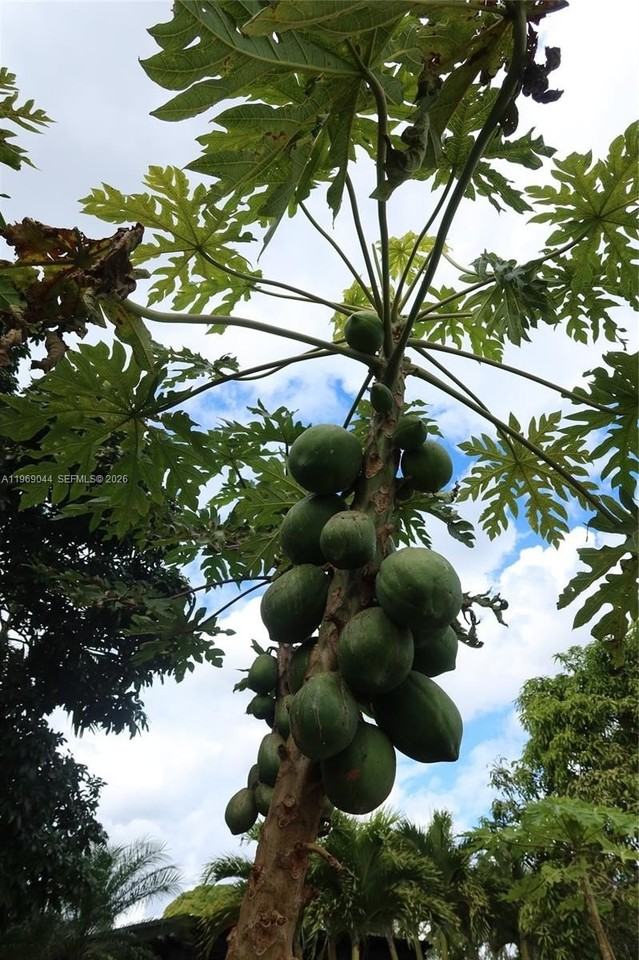 27684 Sw 163rd Ct #0 - Photo 7 of 9