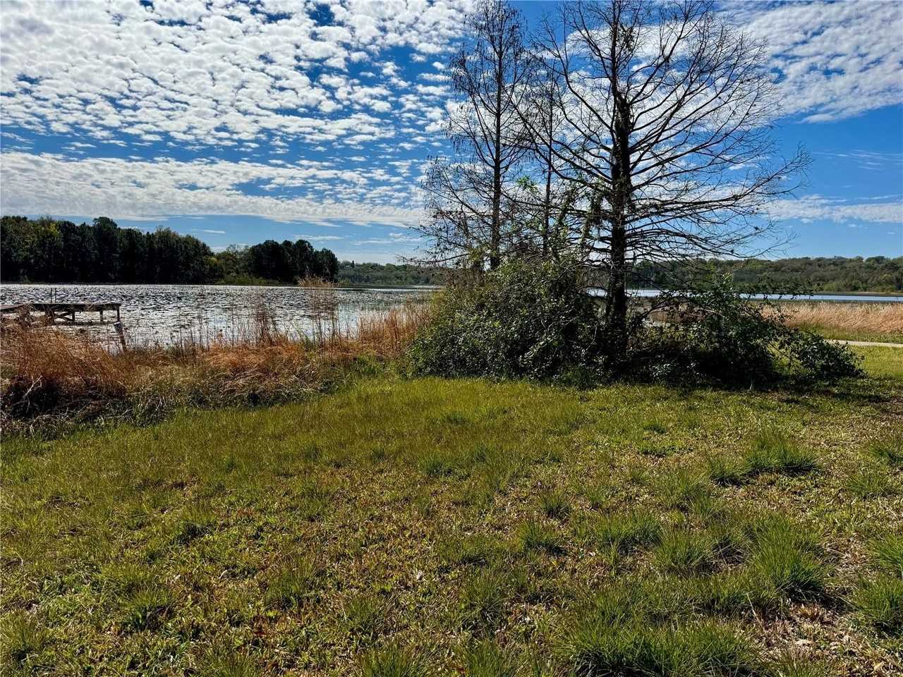 13145 Plum Lake Cir - Photo 5 of 31