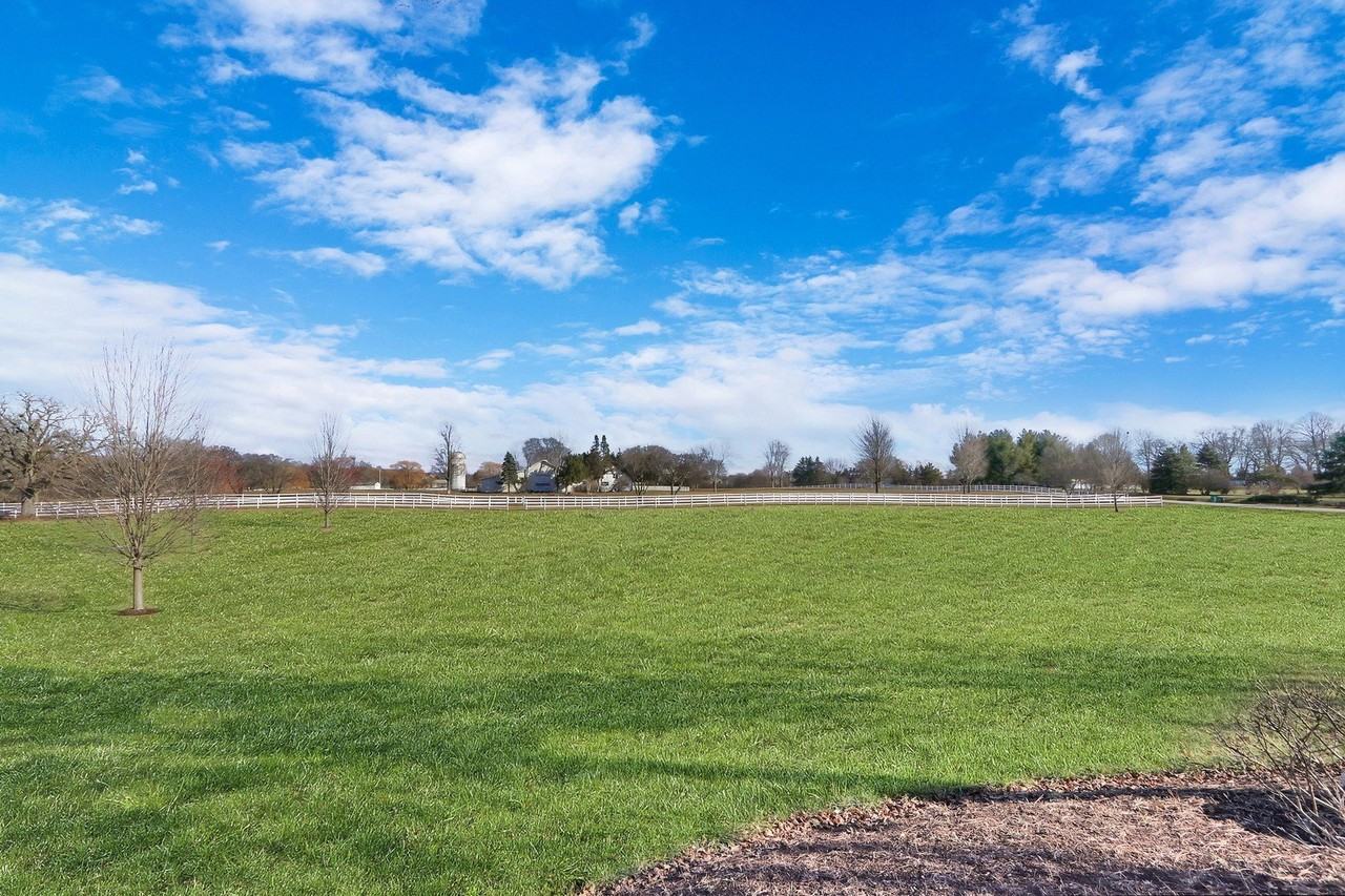 37274 N Black Velvet Ln - Photo 5 of 30