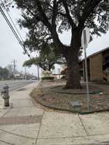 923 Vance Jackson Rd Apt 1301 #1301 - Photo 1 of 1