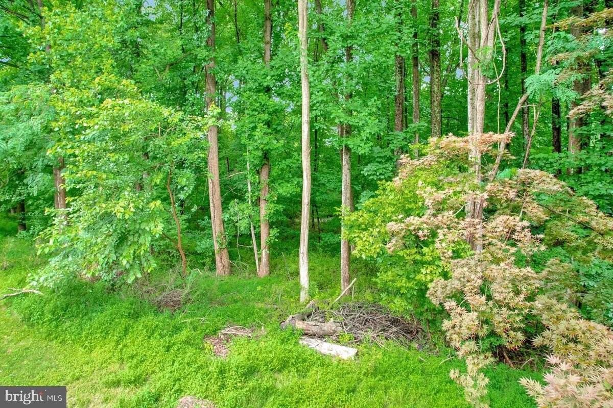 11516 Shell Flower Ln - Photo 2 of 39