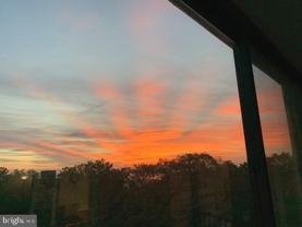 5903 Mount Eagle Dr Apt 802 #802 - Photo 1 of 1