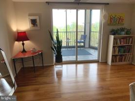 5903 Mount Eagle Dr Apt 802 #802 - Photo 1 of 1