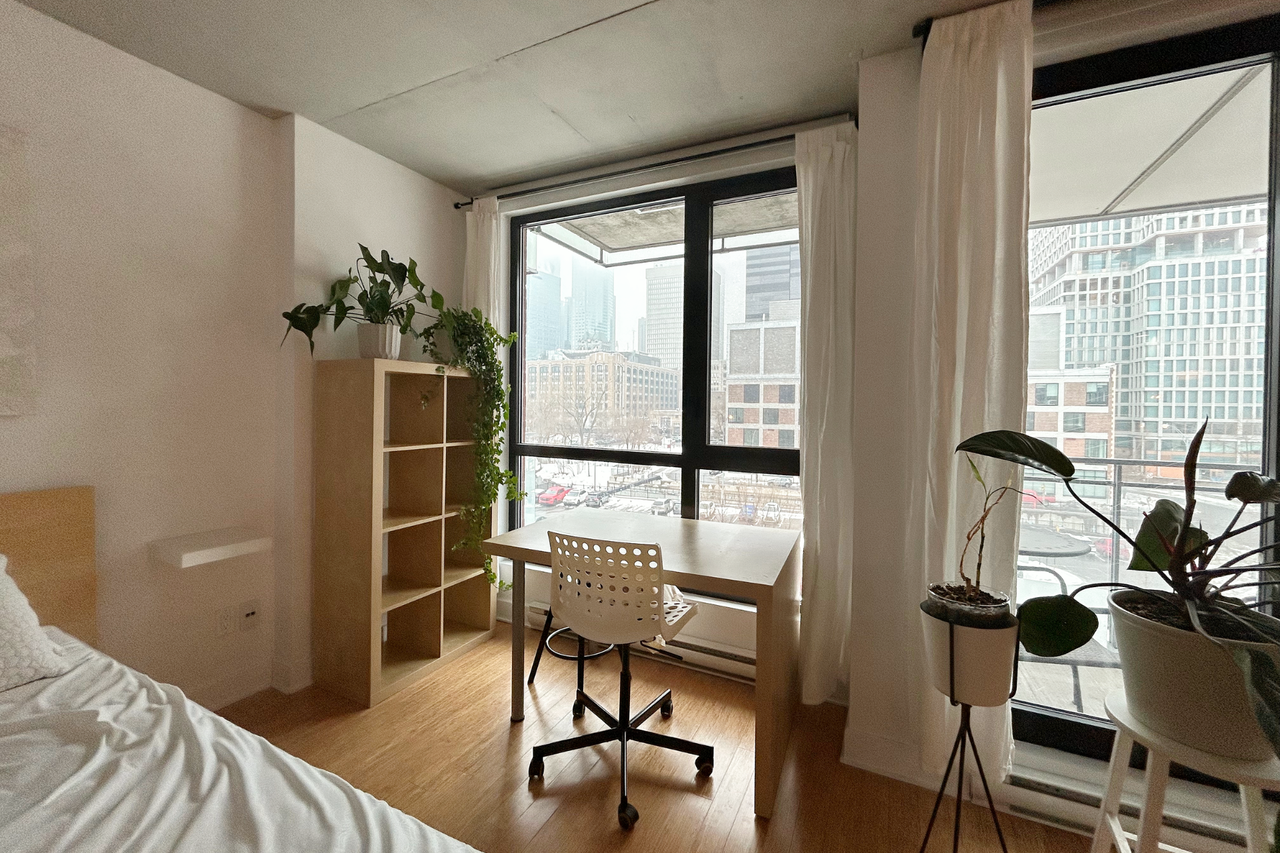 950 Rue Notre-Dame Ouest #509 - Photo 4 of 19