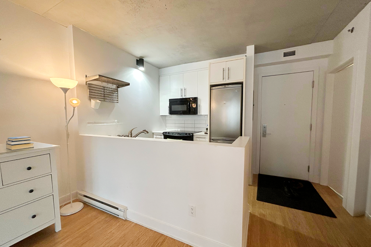 950 Rue Notre-Dame Ouest #509 - Photo 7 of 19