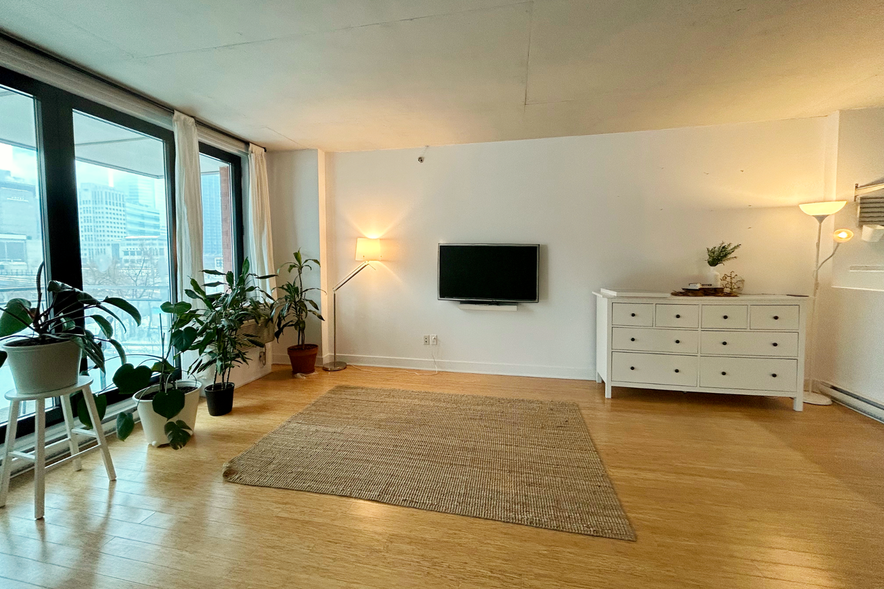 950 Rue Notre-Dame Ouest #509 - Photo 3 of 19