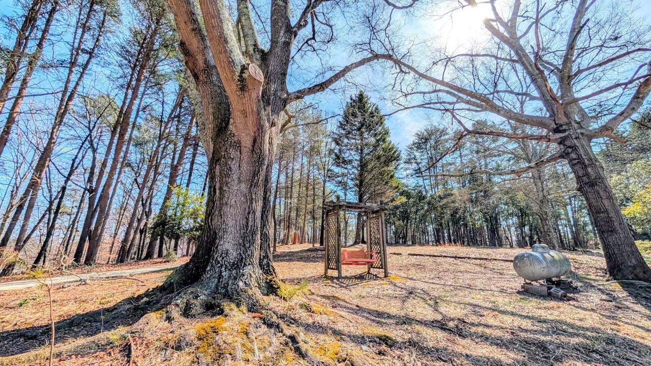 3446 Monroe Cir - Photo 5 of 30