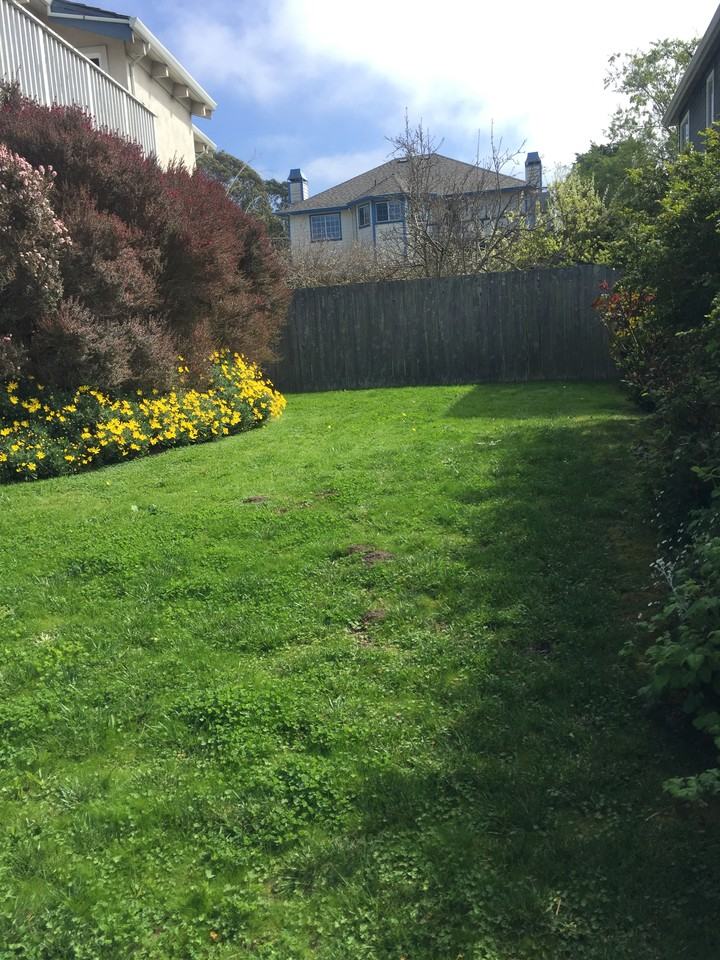 633 Silver Avenue - Photo 3 of 15