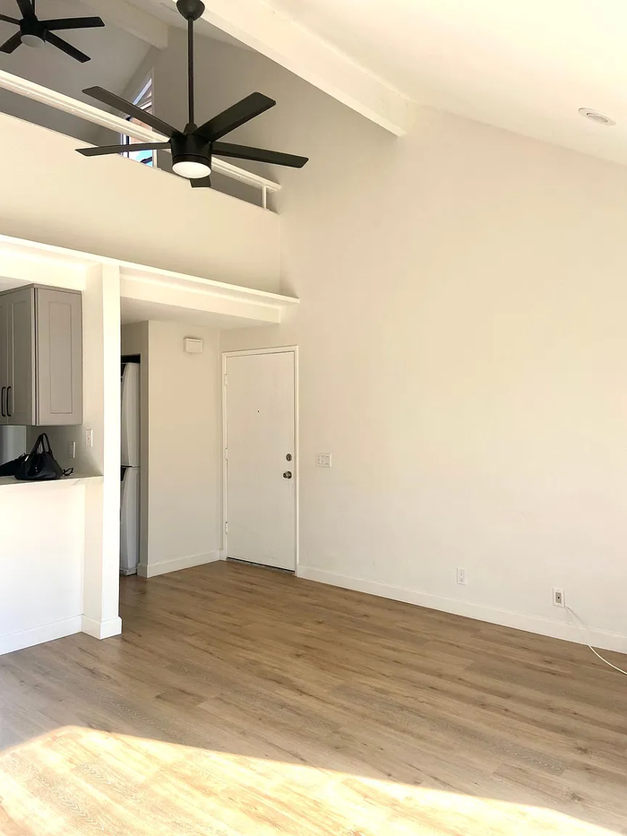 501 Orange Blossom - Photo 3 of 10