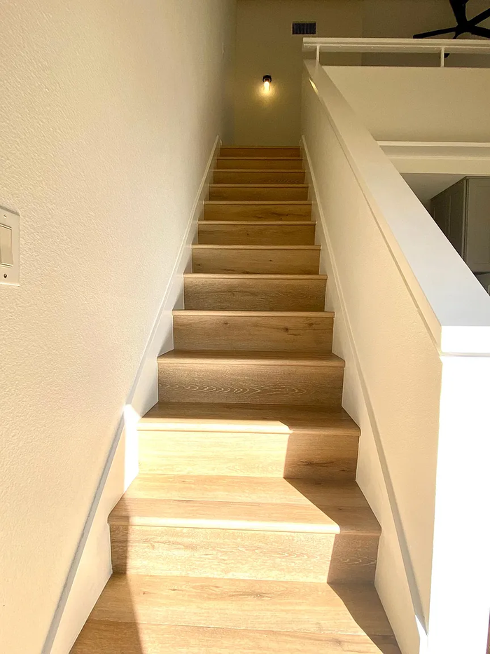 501 Orange Blossom - Photo 5 of 10