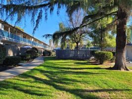 featured image of 375 Mcrae Way