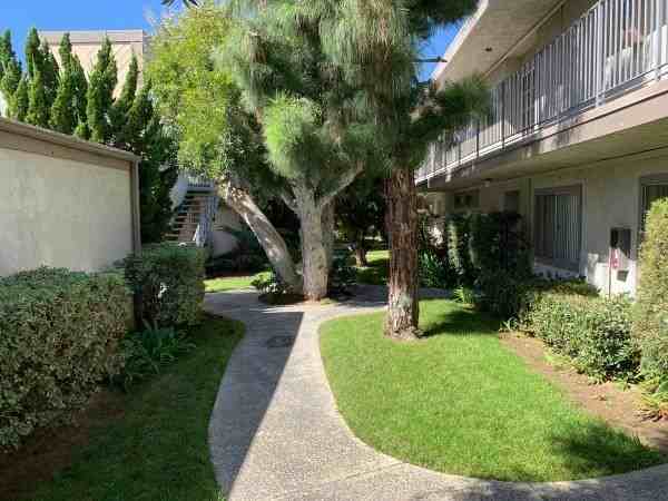 1975 Pomona Ave #10 - Photo 3 of 13