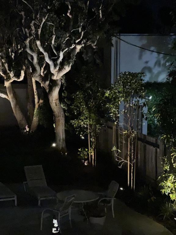 1975 Pomona Ave #10 - Photo 5 of 13