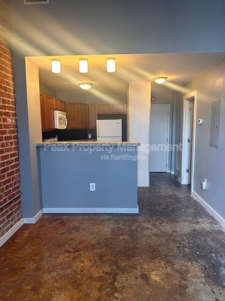 1510 W Broad St #308 - Photo 7 of 28