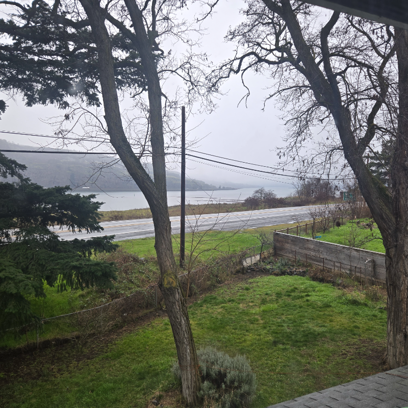 316 Tacoma Ave - Photo 3 of 10