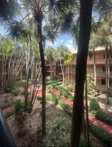 10845 Sw 112th Ave #204 - Photo 1 of 1