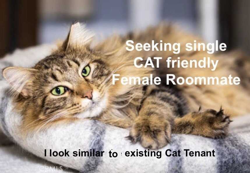 425 Lewis Pl - Photo 4 of 15