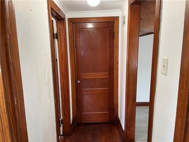 4309 Palmyra St - Photo 4 of 9