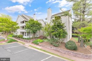 featured image of 14309 Climbing Rose Way Apt 304 #304