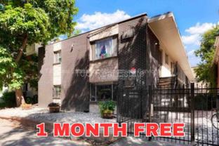 970 N Downing St #3 - Photo 1 of 1