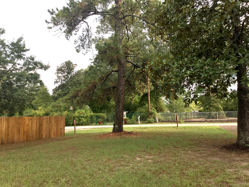 25745 Dulaney St - Photo 3 of 24