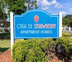 Strawberry - Photo 1 of 1