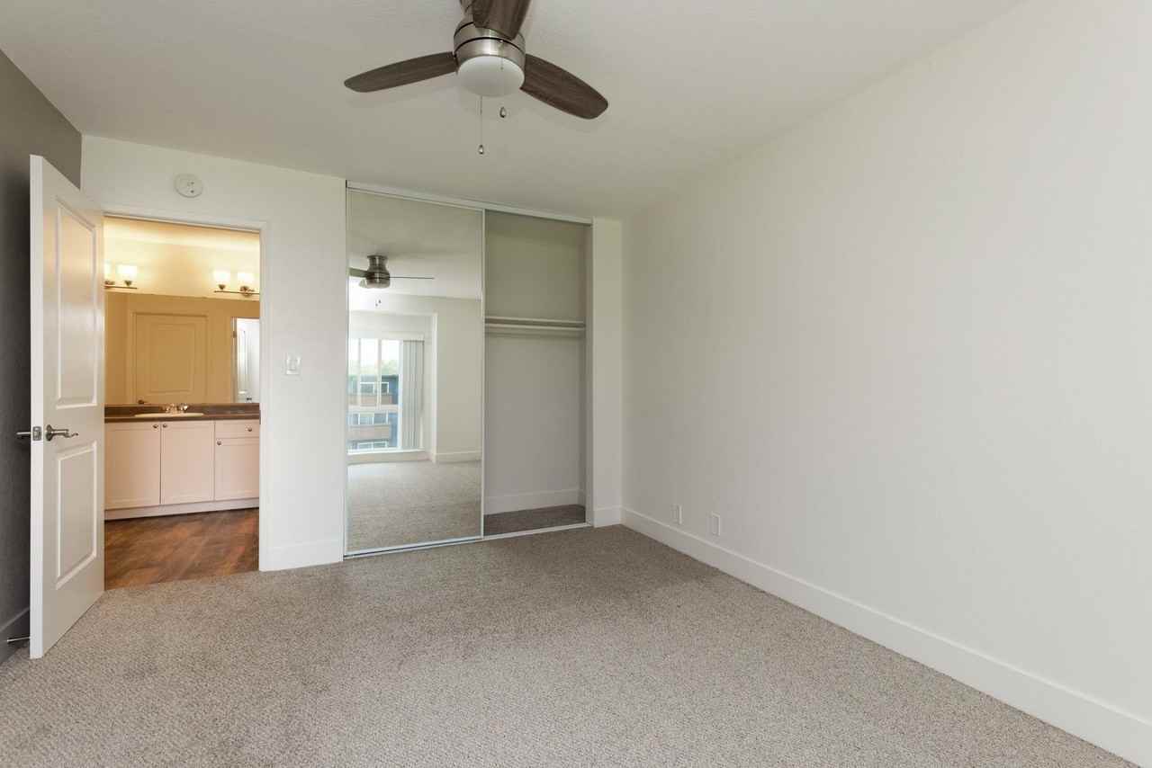 Shoreline 1841 Apartment Homes - Photo 7 of 20