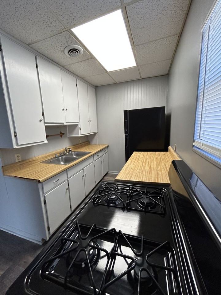 1007 E Madison Duplex - Photo 3 of 20