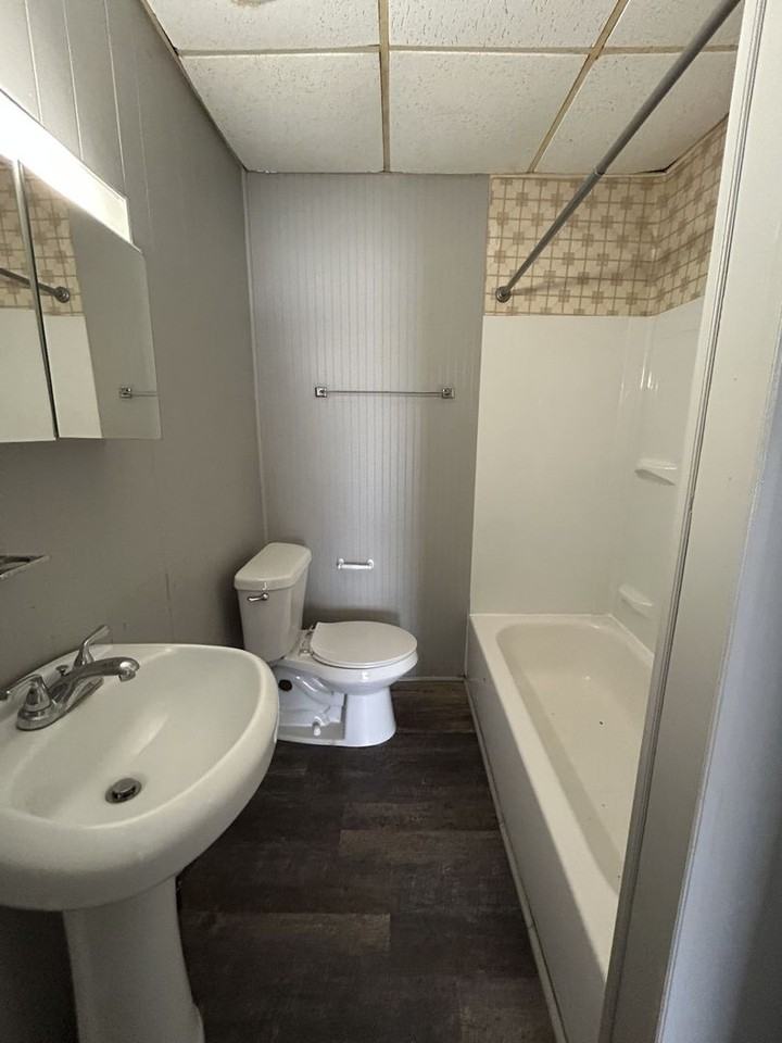 1007 E Madison Duplex - Photo 6 of 20