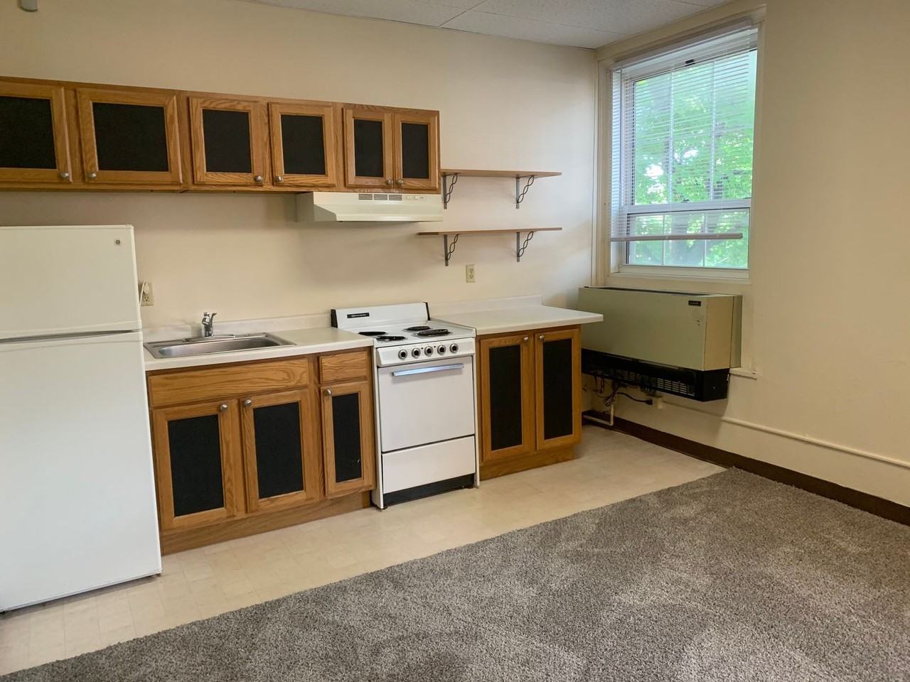 1233 Marshall / 1222-36 Cass - Photo 3 of 47