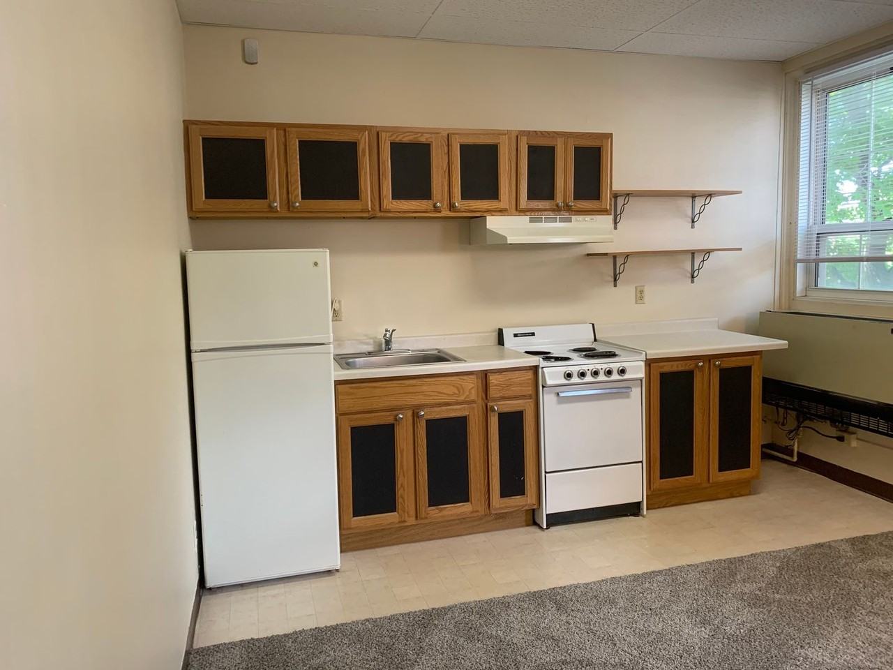 1233 Marshall / 1222-36 Cass - Photo 4 of 47