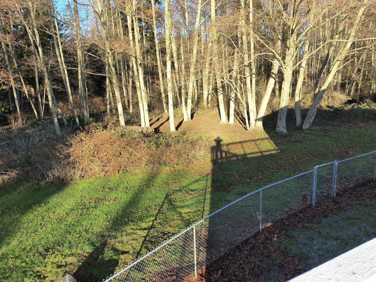 1108 Chadwick Court #B - Photo 6 of 6