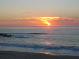 7528 & 7530 Cuvier Street - Photo 1 of 1