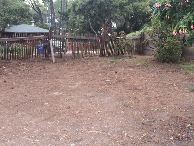 1029 1029 Austin - Back #BACK - Photo 5 of 9