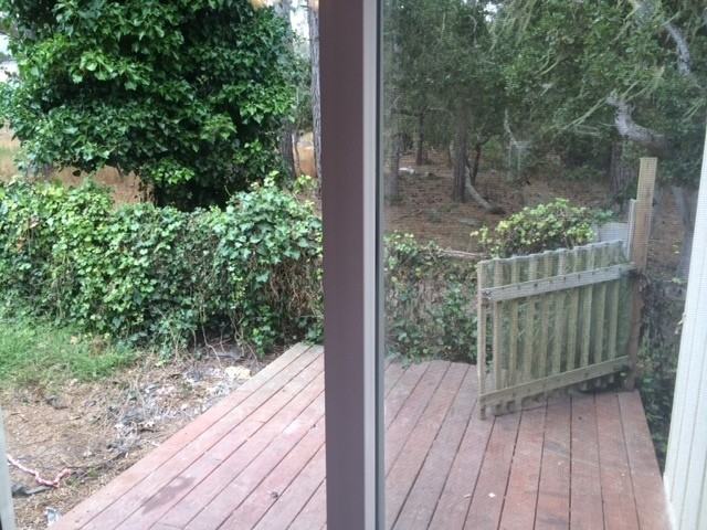 1029 1029 Austin - Back #BACK - Photo 6 of 9