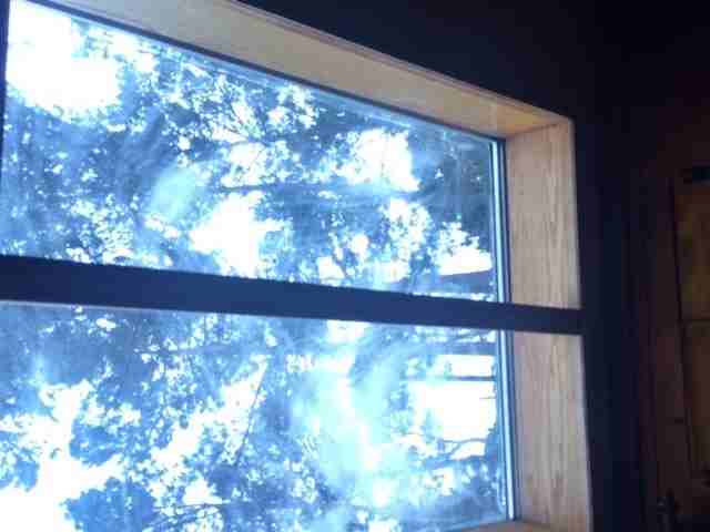 1029 1029 Austin - Back #BACK - Photo 7 of 9