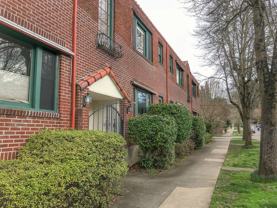 Audrey - Photo 1 of 1