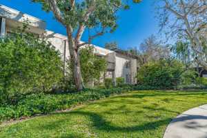 featured image of 23515 Lyons Ave #243