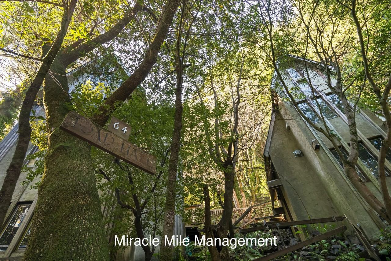 64 Castle Rock Dr - Photo 4 of 29