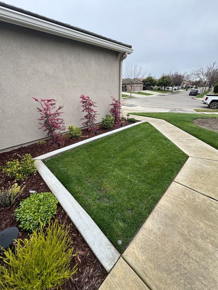 2310 W Tyler Ave - Photo 2 of 14