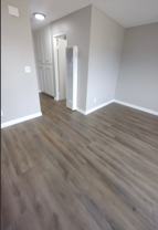 Elderberry Ontario - Photo 1 of 1