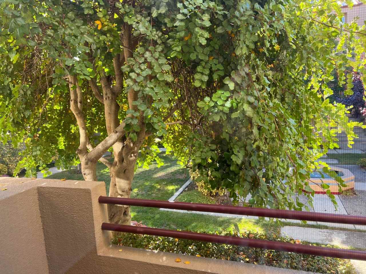 231 Commons Ln - Photo 6 of 30