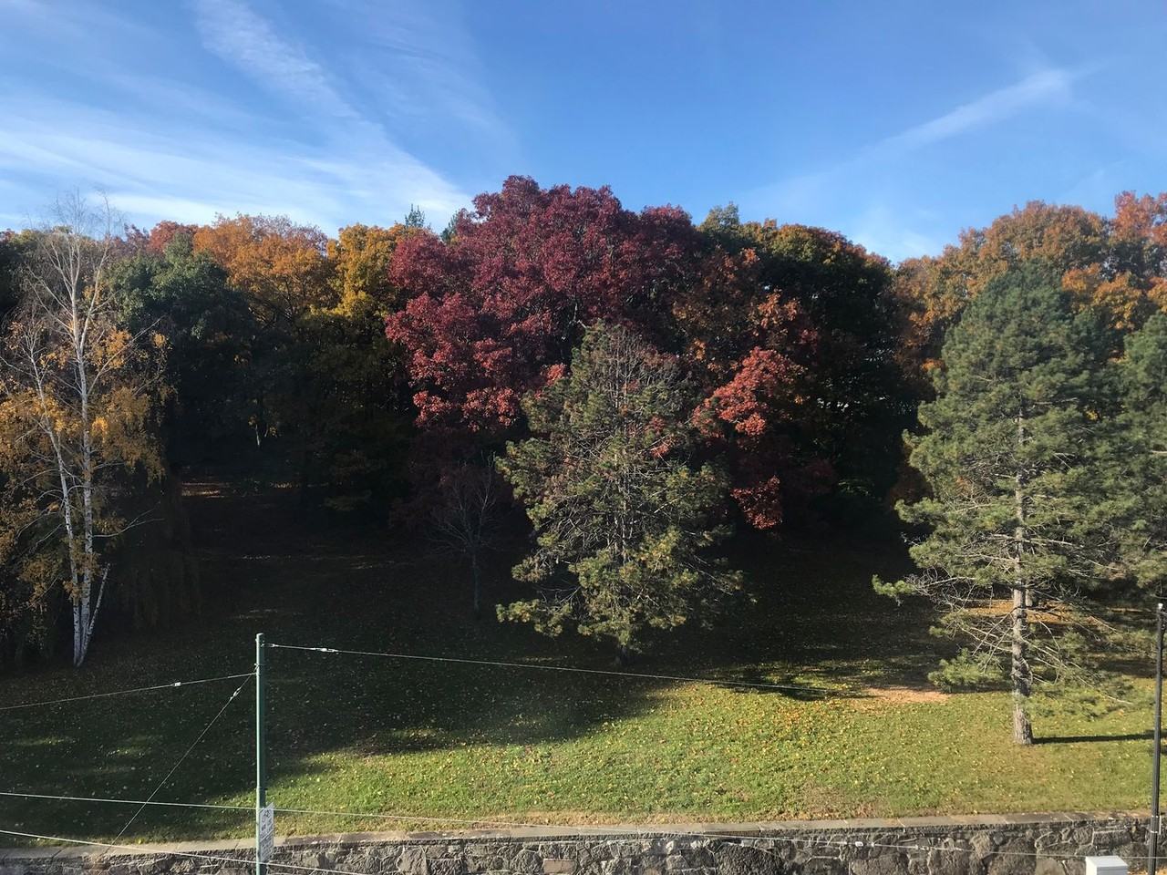 1890 Commonwealth Ave - Photo 5 of 8