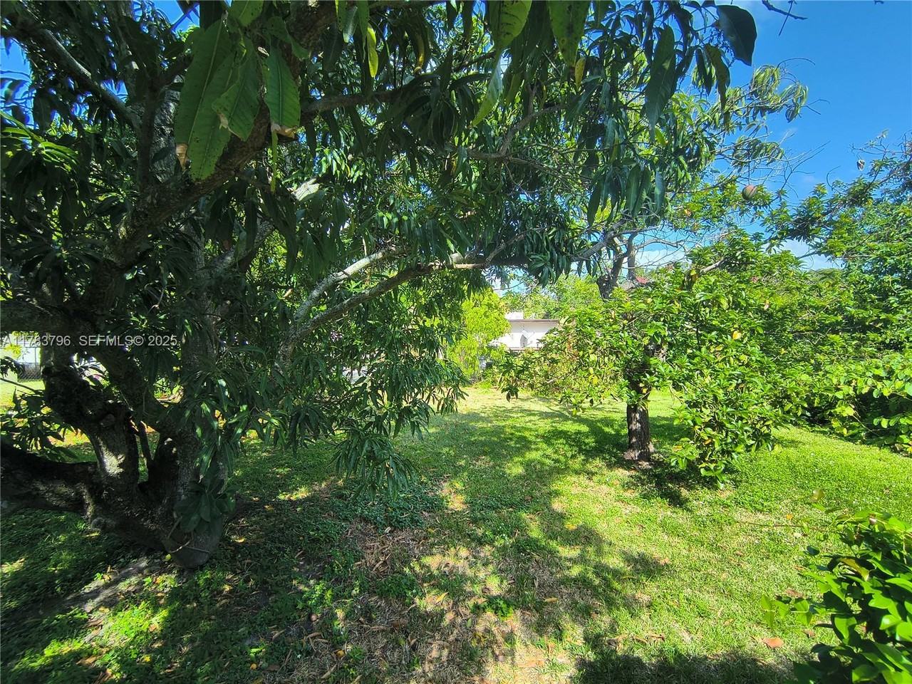 1225 Southwest 11th Avenue #1223 - Photo 3 of 13